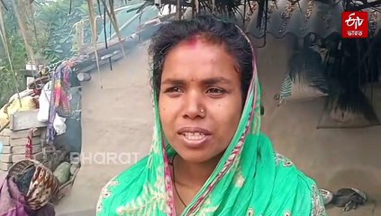 ফের লোকালয়ে ঢুকেছে বাঘ ! মৈপীঠে মিলল পায়ের ছাপ