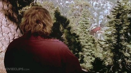 Black Sheep Going Downhill Fast Red Five