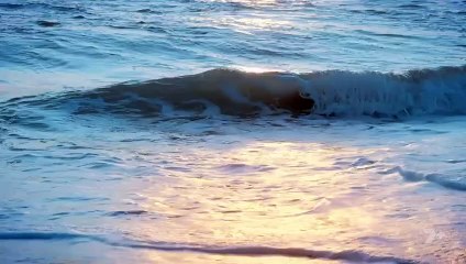 Home And Away 17th January 2025