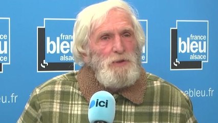 Alsace Nature appelle les chasseurs à tuer plus de cerfs pour protéger la forêt