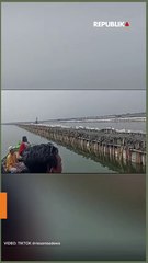 Pagar Laut Juga Ditemukan di Bekasi