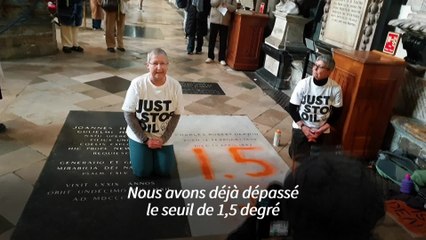 Des écologistes dégradent la tombe de Darwin dans l'abbaye de Westminster