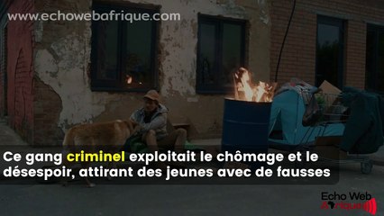 Cameroun : Un réseau de trafic d’être humains démantelé