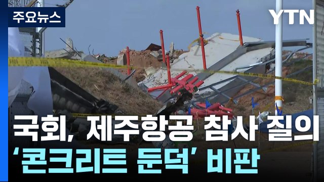 미흡한 조류 충돌 대책 도마에...콘크리트 둔덕 질타 / YTN