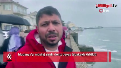 Mudanya'yı müsilaj sardı, deniz beyaz tabakayla örtüldü