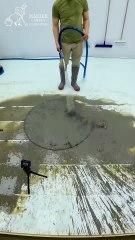 One Minute Miracle Saves A Heavily Soiled Carpet - Satisfying ASMR #carpetcleaning #shorts