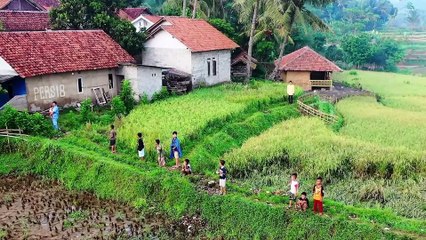 "Balguni Bhagat Class 10 Hindi Chapter 8 Explanation"