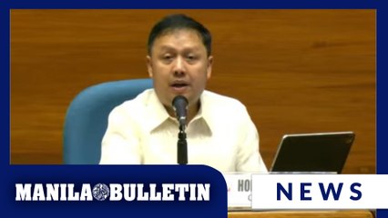 Zaldy Co no longer House appropriations panel chairman