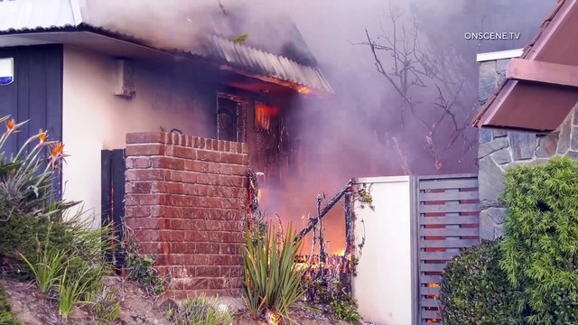 Structures Burn as Palisades Fire Explodes to 1,200 Acres