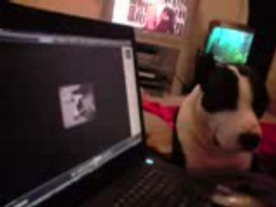 zeus says hello to his hello