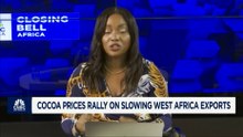 Cocoa prices rally on slowing West Africa exports