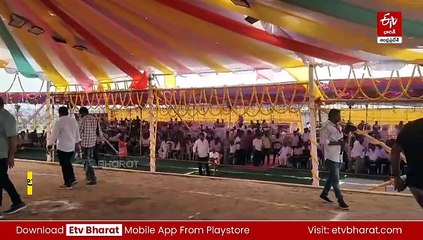 జోరుగా కోడి పందేలు - చేతులు మారుతున్న లక్షలు