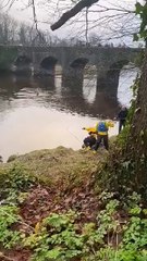 Dog is rescued after falling from Crana Bridge
