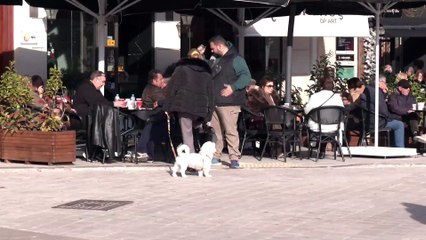 Κρυσταλλία Αποστόλου παιδοψυχολόγος: SOS Τα παιδιά από τα 12 ξεκινούν το αλκοόλ