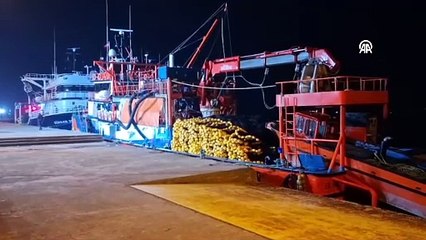 Sinop'ta denize açılan balıkçıların ağına istavrit ve mezgit takıldı