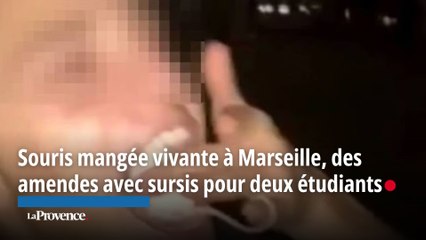 Souris mangée vivante à Marseille, des amendes avec sursis pour deux étudiants