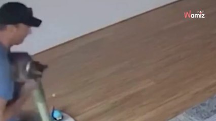 Il ouvre les stores de sa maison après ses vacances : un danger mortel se trouve aux pieds de la table basse (vidéo)