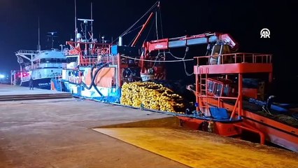 Kasa kasa balıkla döndüler