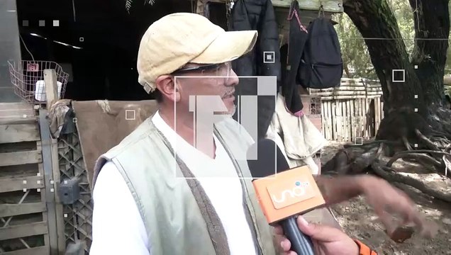 VIDEO: Cae un árbol de eucalipto en el refugio Gamaliel y dejó a dos perros con heridas leves