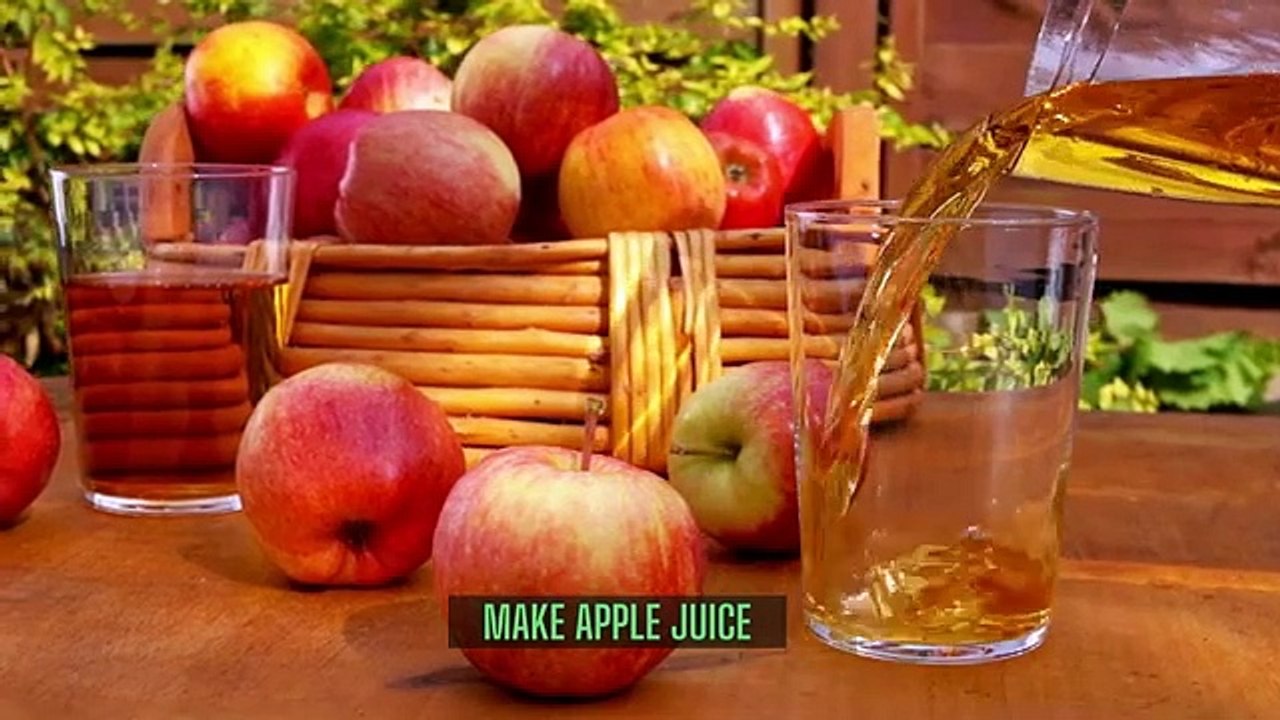 Apple sweet and savory meals  Add apple to meals  The Most Delicious Apple Recipes  fall recipes
