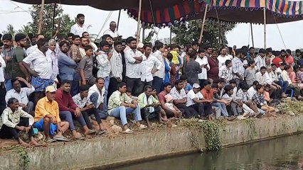 Watch Video State-Level Bull Running Competition Witnesses Enthusiastic Participation