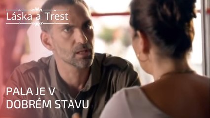 Pala je v dobrém stavu | Láska a Trest - Epizoda 25