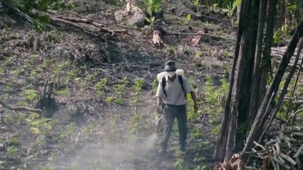 Diputados y ambientalistas denuncian reforma que aumenta nivel de plaguicidas en agua