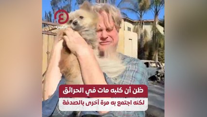 ظن أن كلبة مات في الحرائق لكنه اجتمع به مرة أخرى بالصدفة