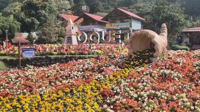 Gran Éxito en la Feria Internacional de las Flores y el Café en Boquete