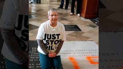 Just Stop Oil pinta la tumba de Charles Darwin para protestar contra el calentamiento global