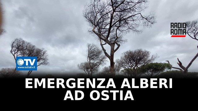 Emergenza a Ostia, alberi pericolanti nei parchi e nelle strade