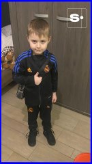 Les malamutes sont-ils des chiens dangeureux ?