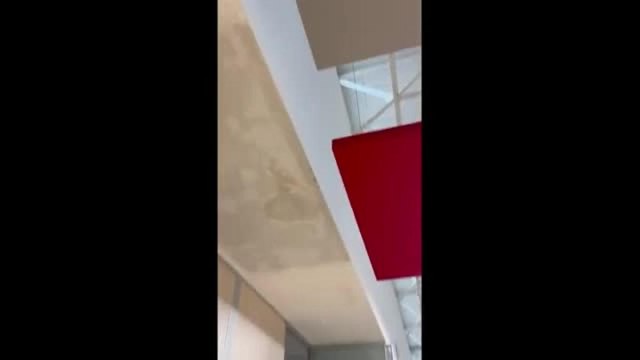 Maltempo in Puglia, piove anche negli uffici della Regione: ecco come i dipendenti affrontano il problema