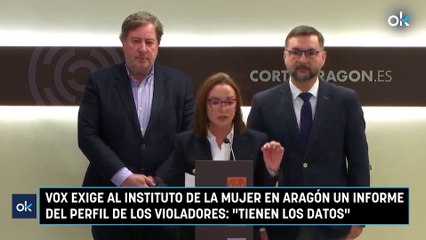 Vox exige al Instituto de la Mujer en Aragón un informe del perfil de los violadores: "Tienen los datos"