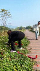 Hehehe so funny video