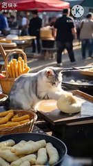 "Adorable Cat Gets in the Kitchen to Make Perfect Rolls! 🐱🍞"