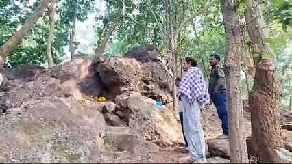 ପୌଷ ପୁର୍ଣିମାରେ ଆଦିବାସୀ ସମ୍ପ୍ରଦାୟର ଲୋକଙ୍କ ଦ୍ୱାରା ପ୍ରଭୁ ନୀଳମାଧବଙ୍କ ନିଆରା ପୂଜାର୍ଚ୍ଚନା।