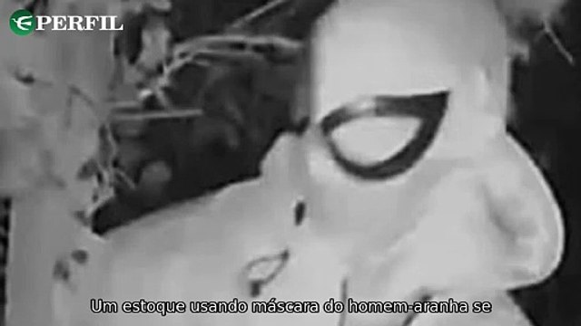 Stalker do Homem-Aranha, Youtuber polêmico e resgate de gorila: Notícias chocantes ao redor do mundo