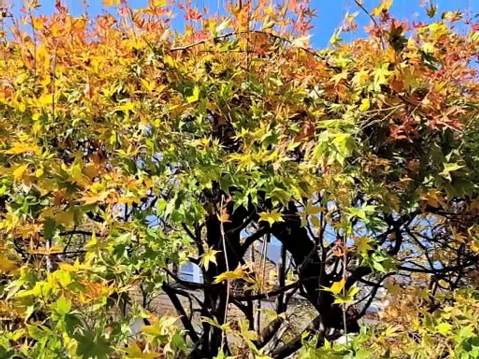 Herbstbaden