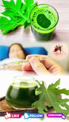 डेंगू बुखार हो जाए तो पपीते के पŸाो का रस पीना चाहिए।dengoo bukhaar ho jae to papeete ke payaao