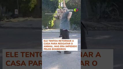 Homem se emociona após reencontrar cachorro que ficou perdido em meio aos incêndios em LA #shorts