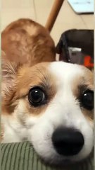 The blurred thing is what I want to see😆 what about you?