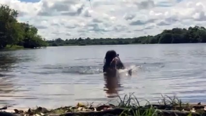 Adolescente é atacada por capivara em lago