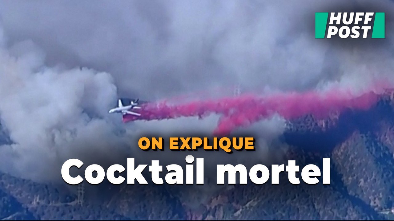 Plus mortelle que les incendies, la fumée à Los Angeles risque de faire des ravages