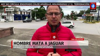 En San Luis Potosí, hombre mata a un jaguar y presume imagen del felino mutilado en redes