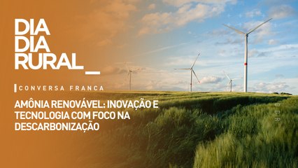 Amônia renovável: inovação e tecnologia com foco na descarbonização