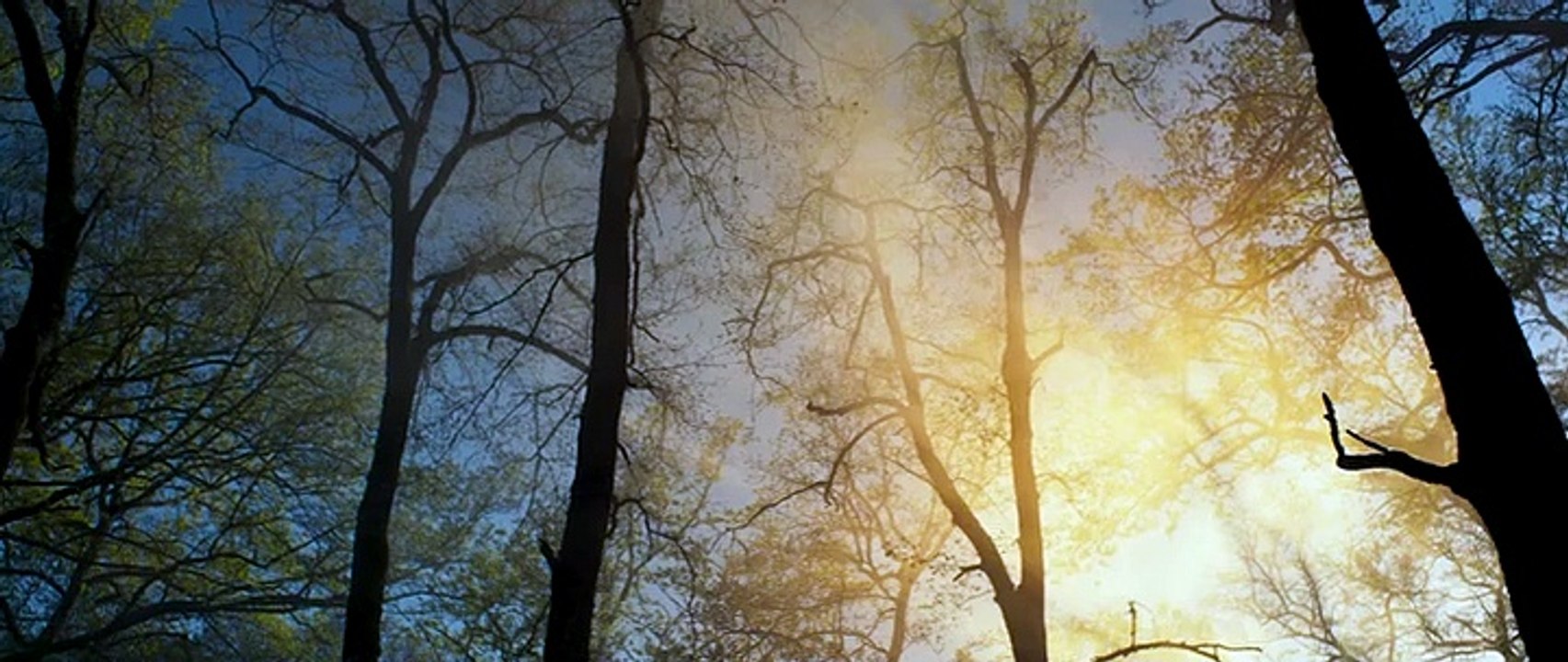 Die Legende der Weihnachtshexe