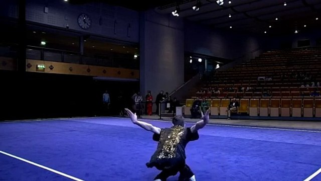 2024 Arti Marziali 19Th European Wushu Championships Stockholm Sweden Imitation styles 武术 散手 散打
