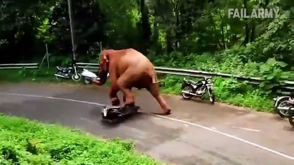 Damn Nature You Scary _ Funny Scary Animal Encounters
