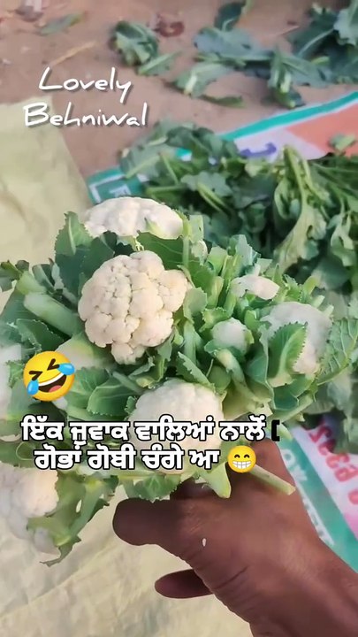 Father Mother 🤣🤣🤣😂😂😂